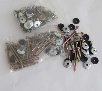 Roof screws (with washers)
